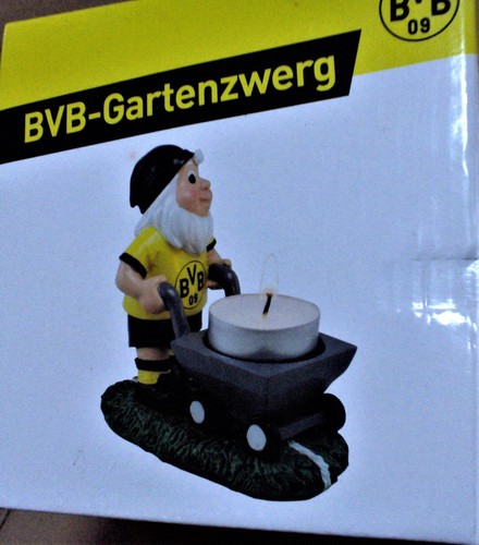 Bvb borussia dortmund - borussia,