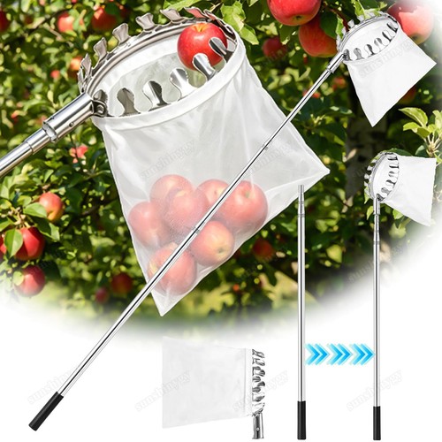 Obstpflücker erntehelfer obst - obstpflücker,