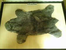 Kleines graues Lammfell 23x46 Mini Zickellamm lockig Zickel goat kid Dekofell