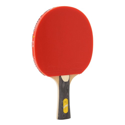 Tischtennisschläger ittf - tischtennisschläger, 5