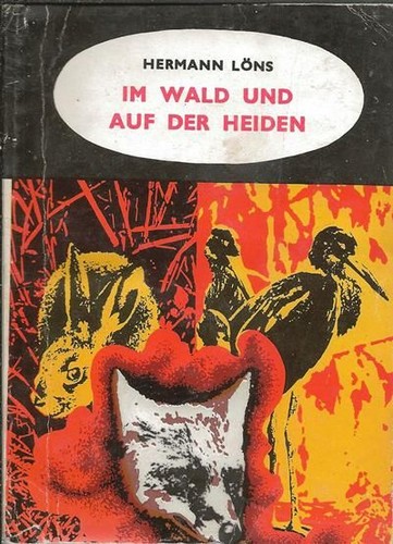 Wald und auf der - im,