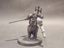 Black Templars Castellan Space