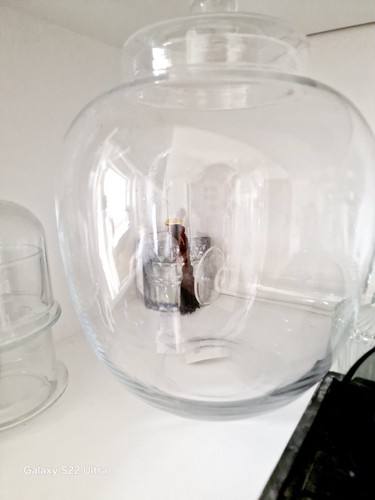 Vorrat dosen glas mit deckel - dosen,