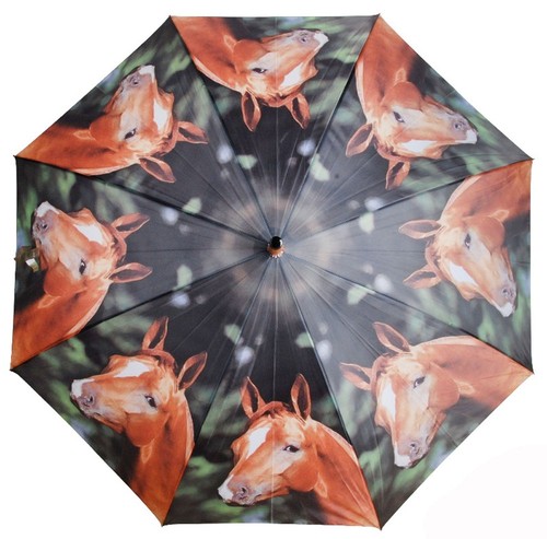 Regenschirm stockschirm - regenschirm,