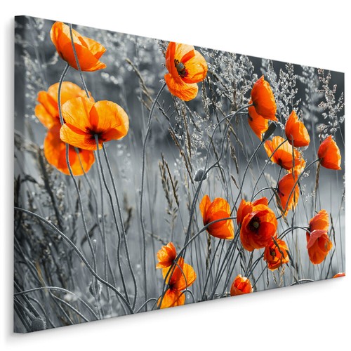 Canvas leinwand bilder xxl - canvas,