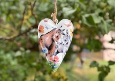 Kuschelfreunde / Esel -