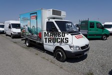 LKW Foto Mercedes-Benz Sprinter Kühltransporter Deutschland weiß STECK Sc #w1bi