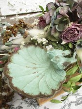 Vögel Vogel Vogelbad