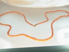 Antike lange Korallen