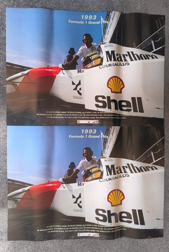 Ayrton senna 1993 - senna, mclaren