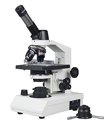 Radikales 2500x - radikales, 40-2500x