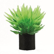 Hobby Aquariendekoration