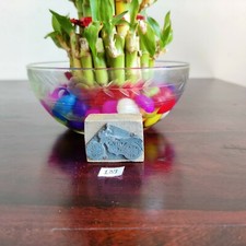 Vintage Motorfahrrad