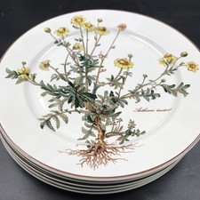 Villeroy & Boch Botanica Anthemis tinctoria Speiseteller Essteller D 26,5  5 Stk