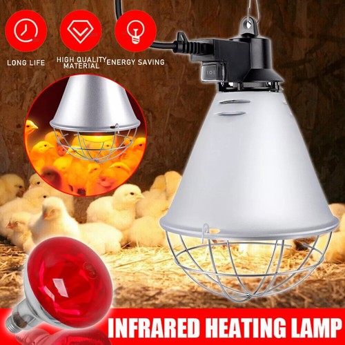 Rotlichtlampe infrarot lampe - rotlichtlampe,