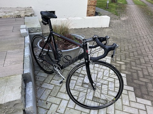 Radon rennrad rahmenhöhe - rennrad.,