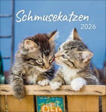 Korsch Schmusekatzen Katzen