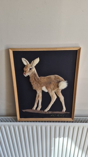 Vintage echtfell hirsch - ​vintage,