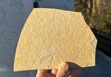 MAGILA 4 cm  !! Maulwurfkrebs