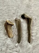 Abwurfstange Hirschgeweih Geweih Horndekoration Deko Basteln Kauknochen.