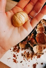 5  kg Premium-Maroni aus dem Steirischen Thermenland - Ess-, Edelkastanien