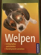 Welpen: Richtig Halten und
