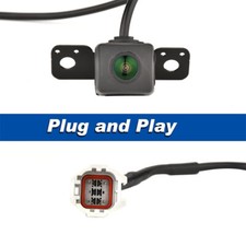 Farbige Rückansicht