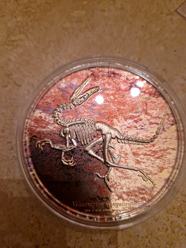 Velociraptor mongoliensis,3