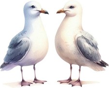 Sommer Farbe Möwe Wandbild