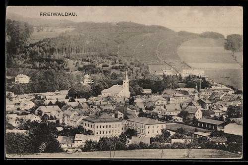 Freiwaldau, Bergwald mit