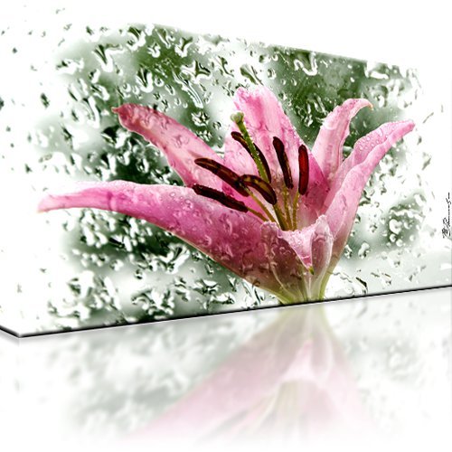Lilie glas tropfen wasser - glas, bild
