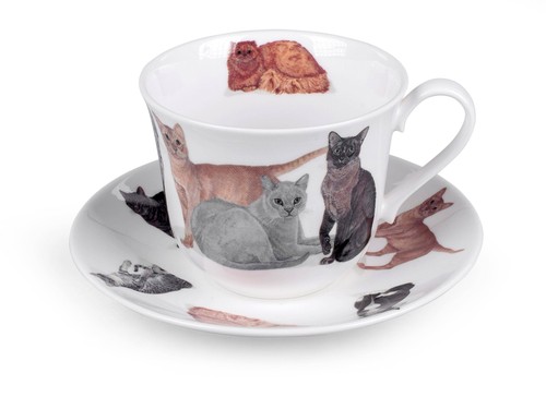 Jumbotasse cats galore roy - jumbotasse,