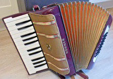 Für Anfänger: Hohner Starlet