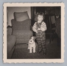 Steiff Foxterrier Foxxy auf