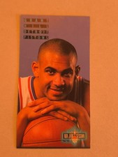 1994-95 Fleer NBA Jam Session