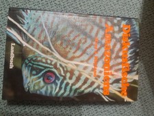 Diskusfische Amazoniens
