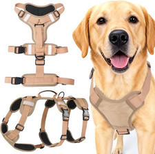 Hundegeschirr Mittelgroße