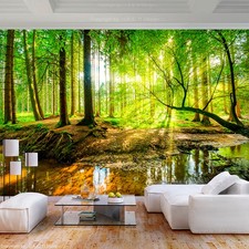 Wald Sonne Natur Landschaft VLIES FOTOTAPETE 3D WOHNZIMMER TAPETE WANDBILD XXL