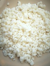 15g gesunde, kräftige, aktive Milchkefir-Knollen, Kefir, Kefirpilze aus Biomilch