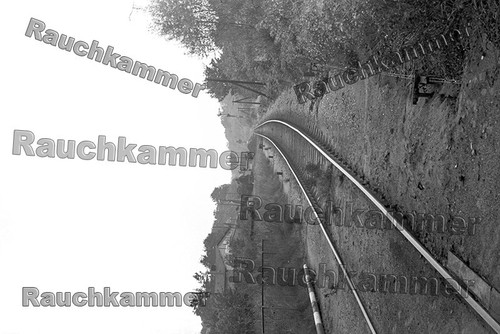 Fotoabzug 10x15 56 318 - pe-fotoabzug,