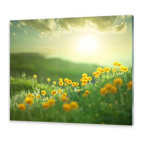 Acrylglasbilder wandbild aus - acrylglasbilder,