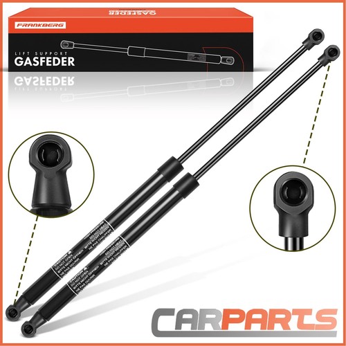 Gasfeder - 2x,