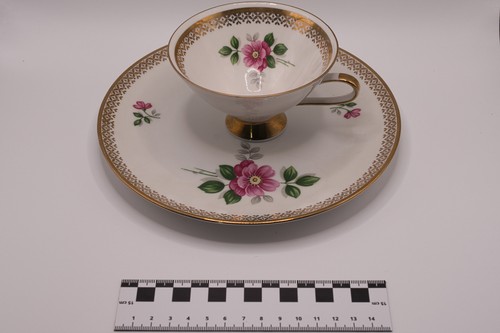Vintage winterling - vintage,