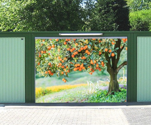 Obst bäume m456 garage - obst,