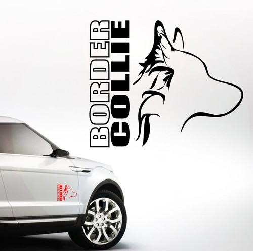 Auto aufkleber border collie - auto,