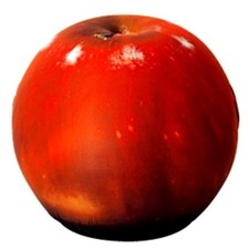 BALERI ITALIA TATINO, Roter