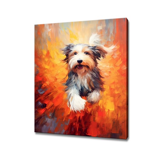 Bearded collie hund buntes - bearded,