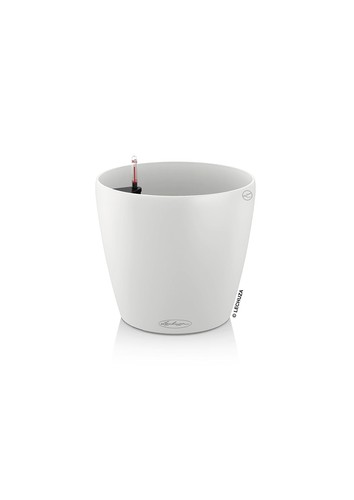 Lechuza classico color - lechuza,