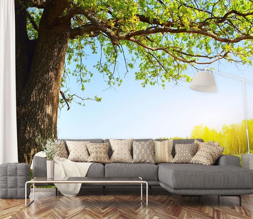 Groß baum h2226 - groß,