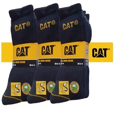 Cat caterpillar - cat,